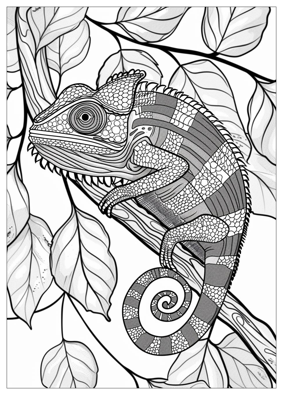 Chameleon Coloring Pages-16