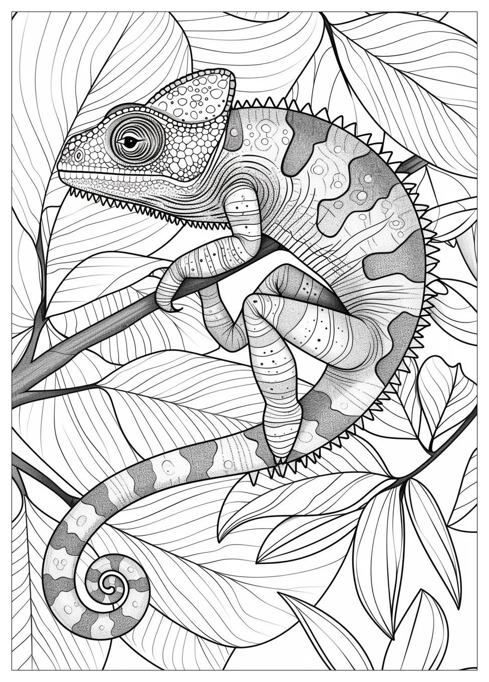 Chameleon Coloring Pages-2