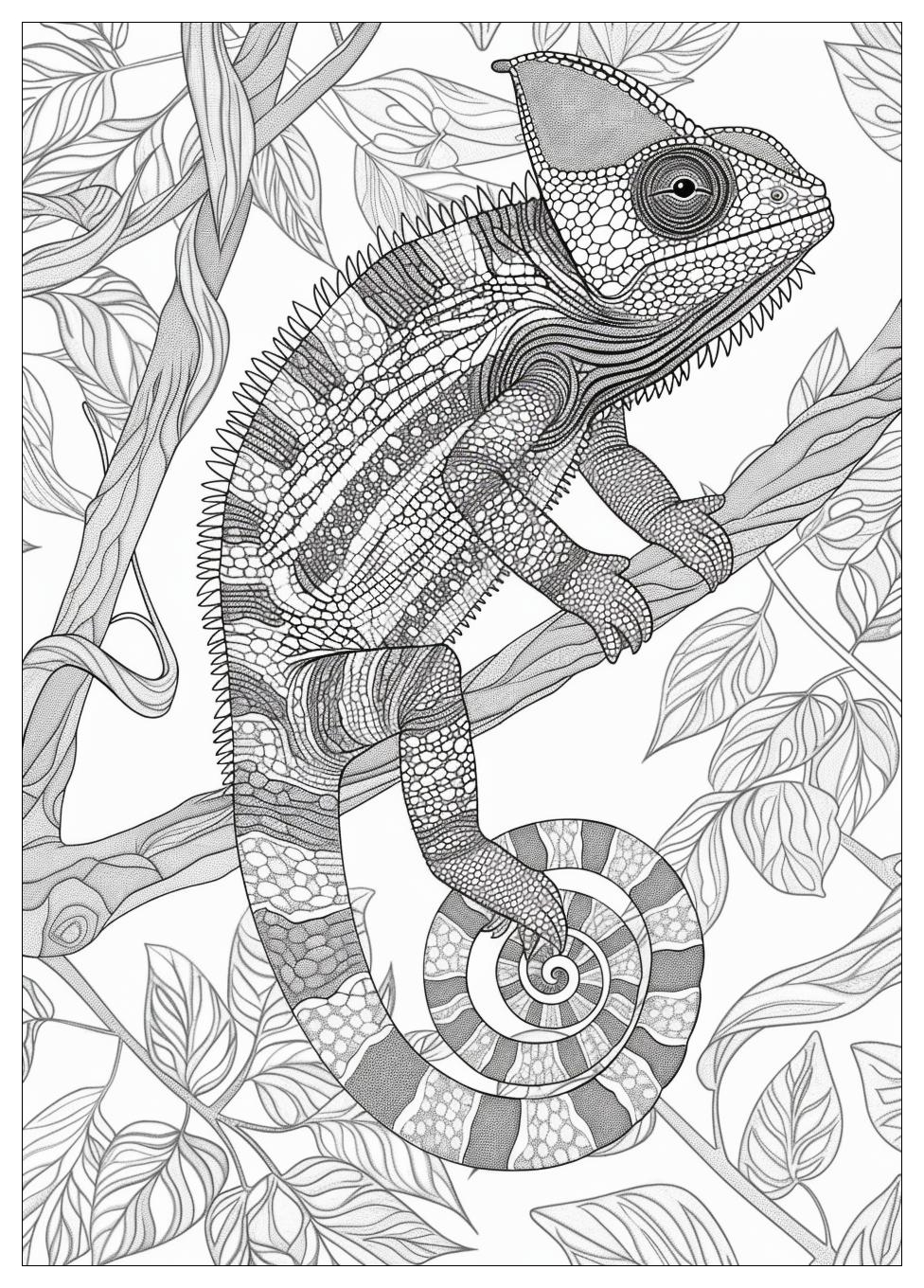 Chameleon Coloring Pages-20