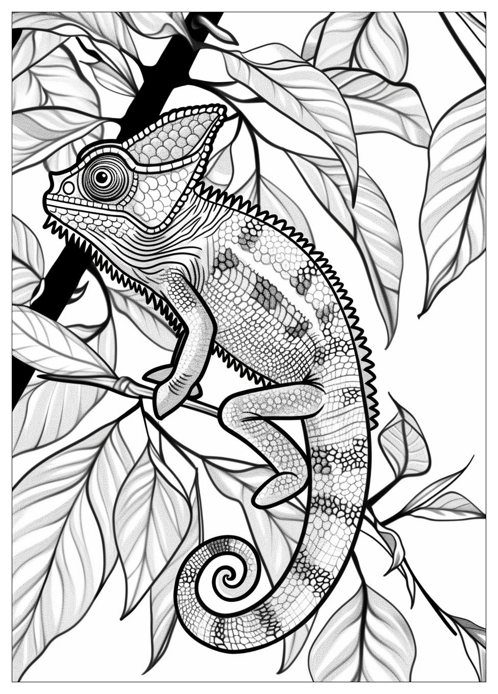 Chameleon Coloring Pages-4