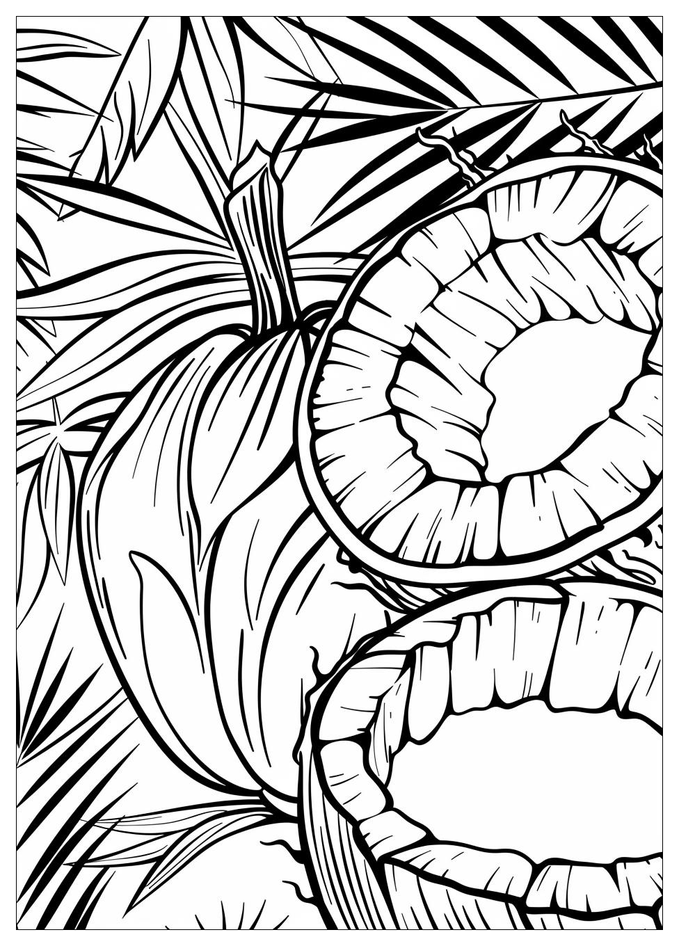 Coconut Coloring Pages-8