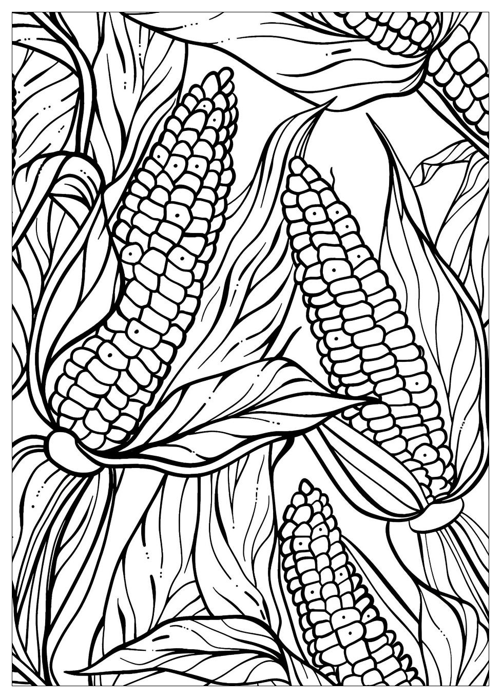 Corn Coloring Pages-1