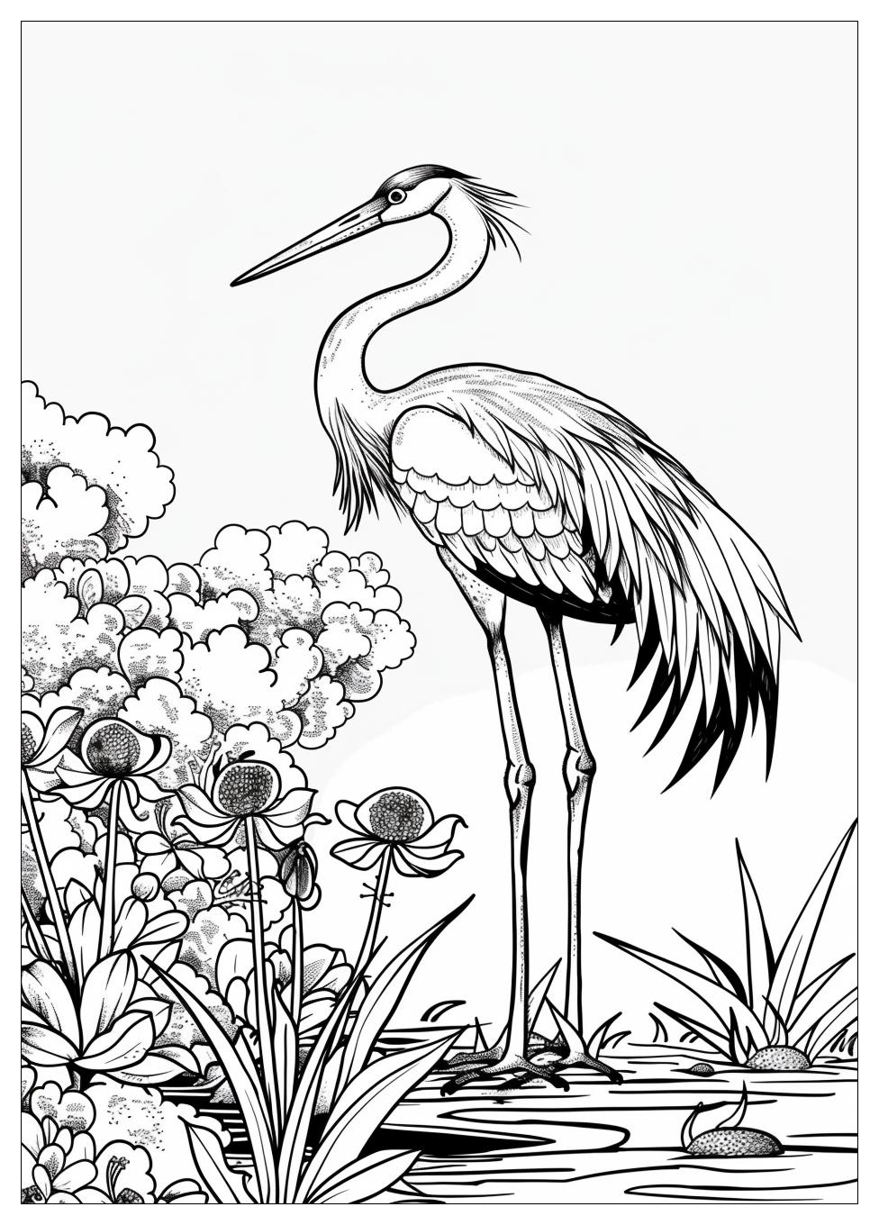 Crane Coloring Pages-2