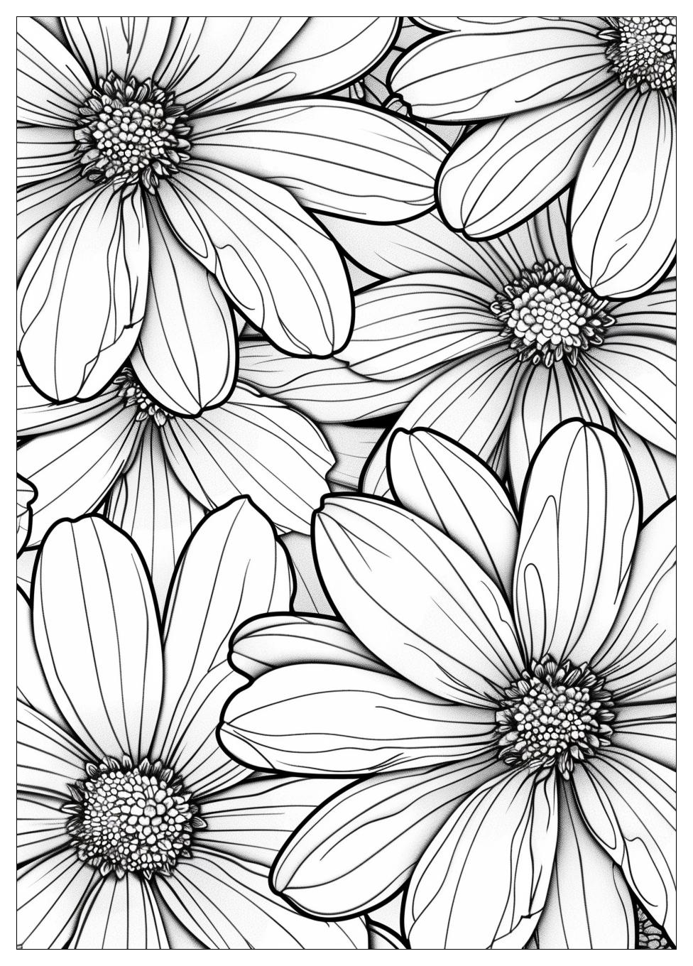 Daisy Coloring Pages-16