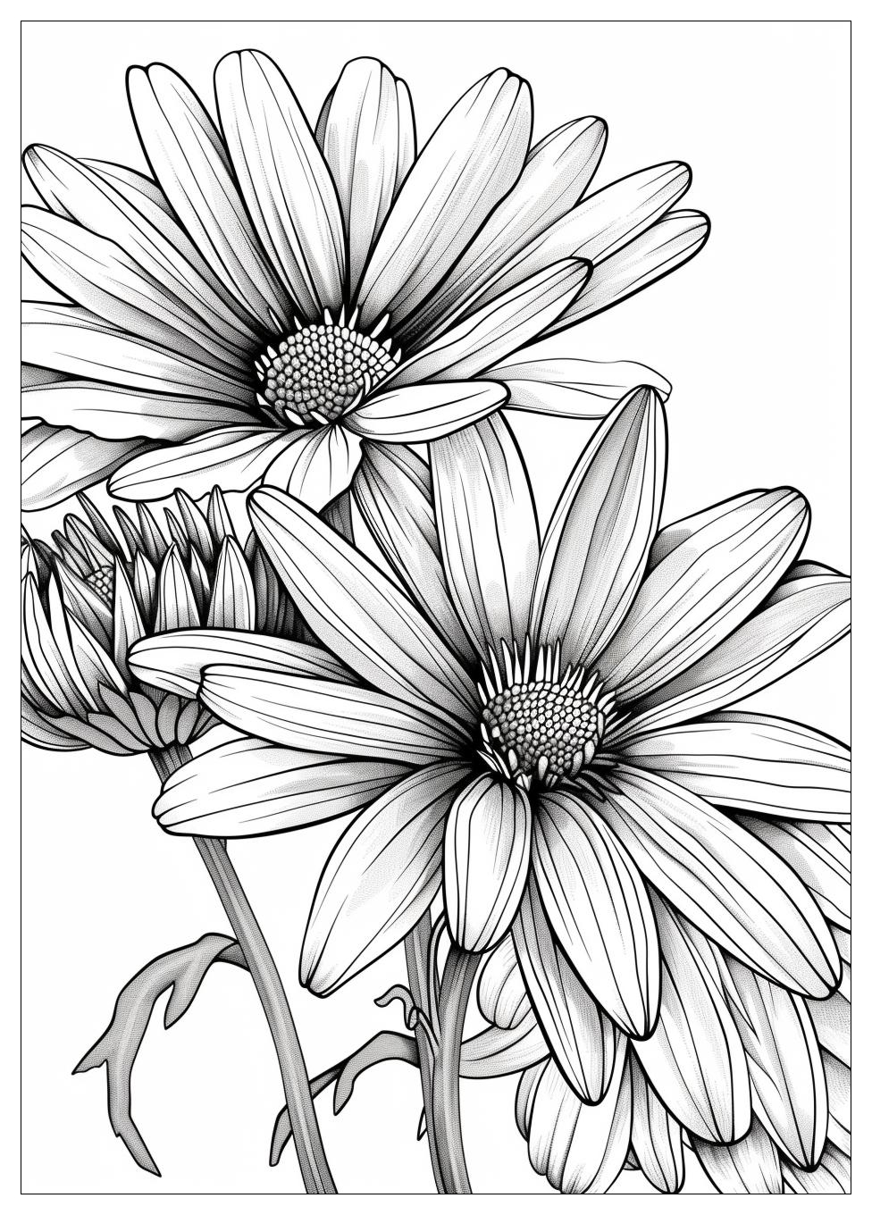 Daisy Coloring Pages-17