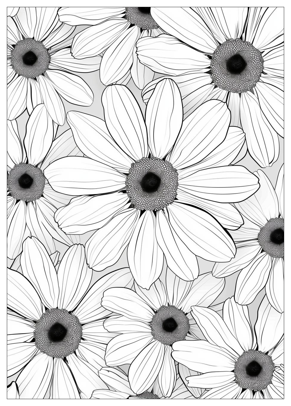 Daisy Coloring Pages-20