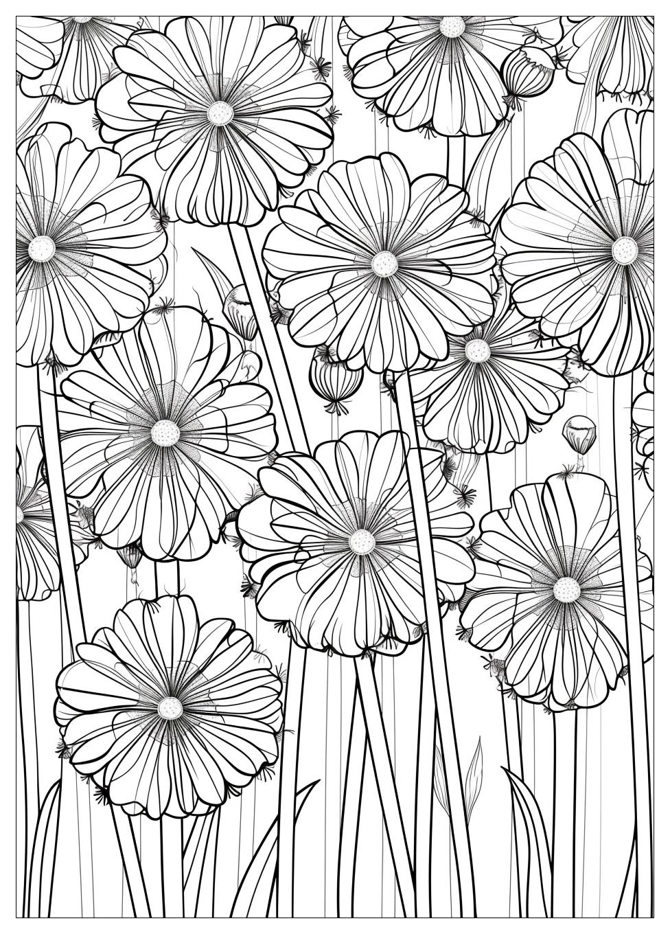 Dandelion Coloring Pages-1