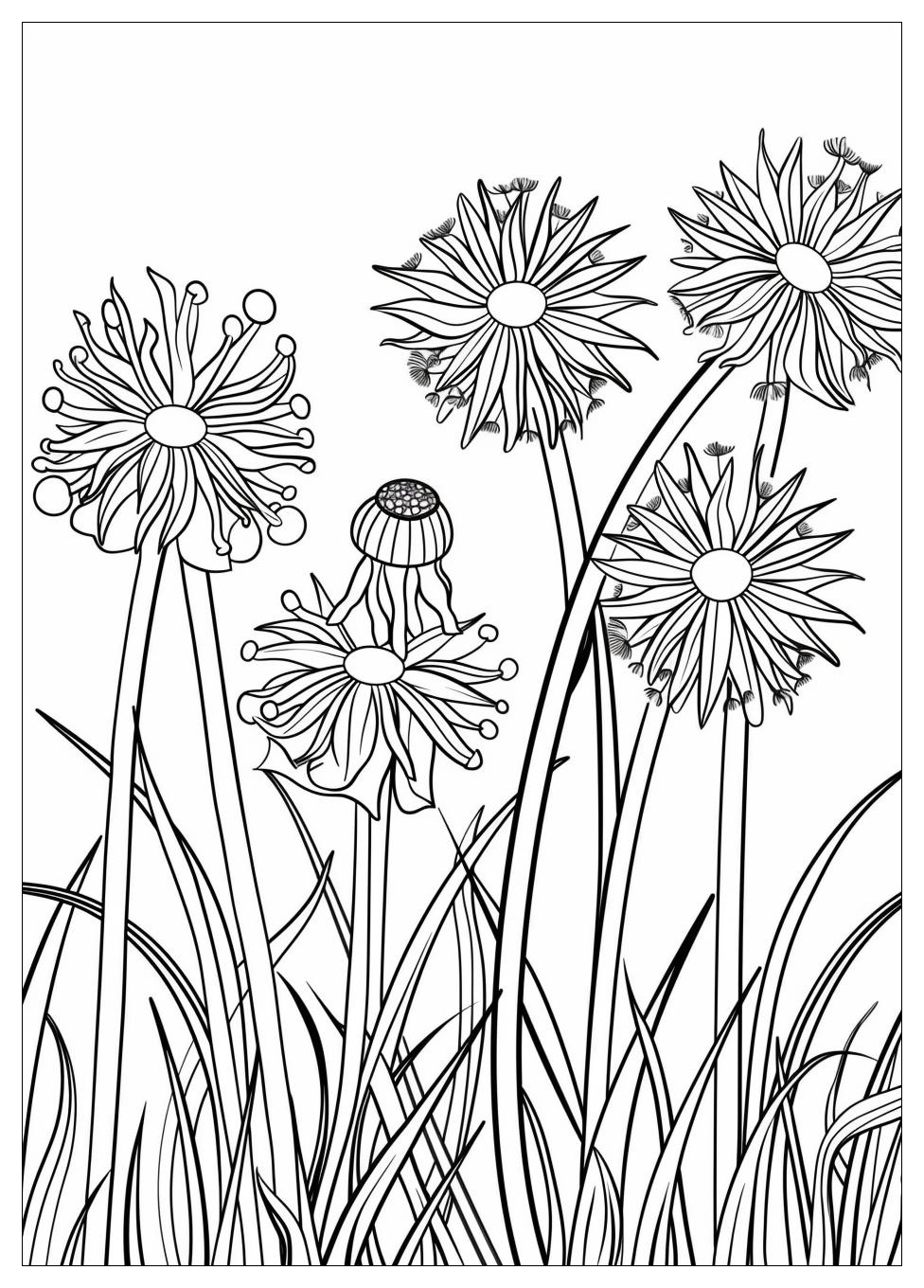 Dandelion Coloring Pages-10