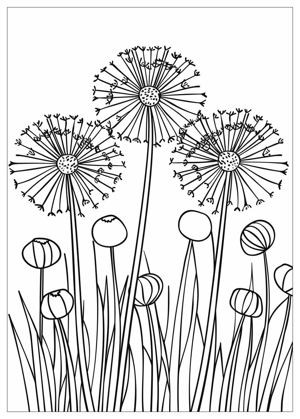 Dandelion Coloring Pages-12