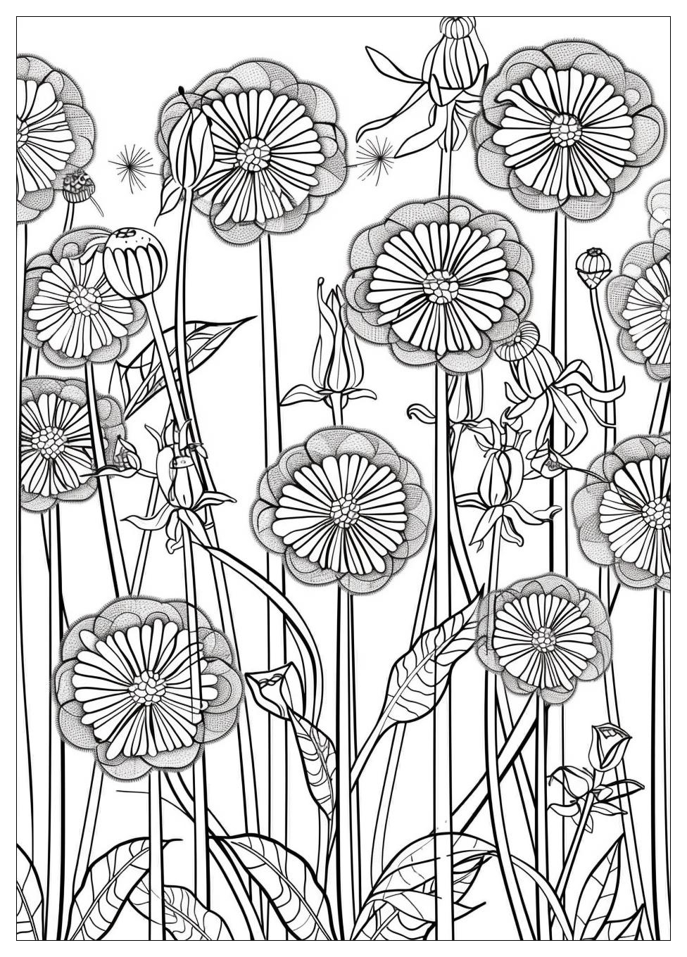 Dandelion Coloring Pages-14