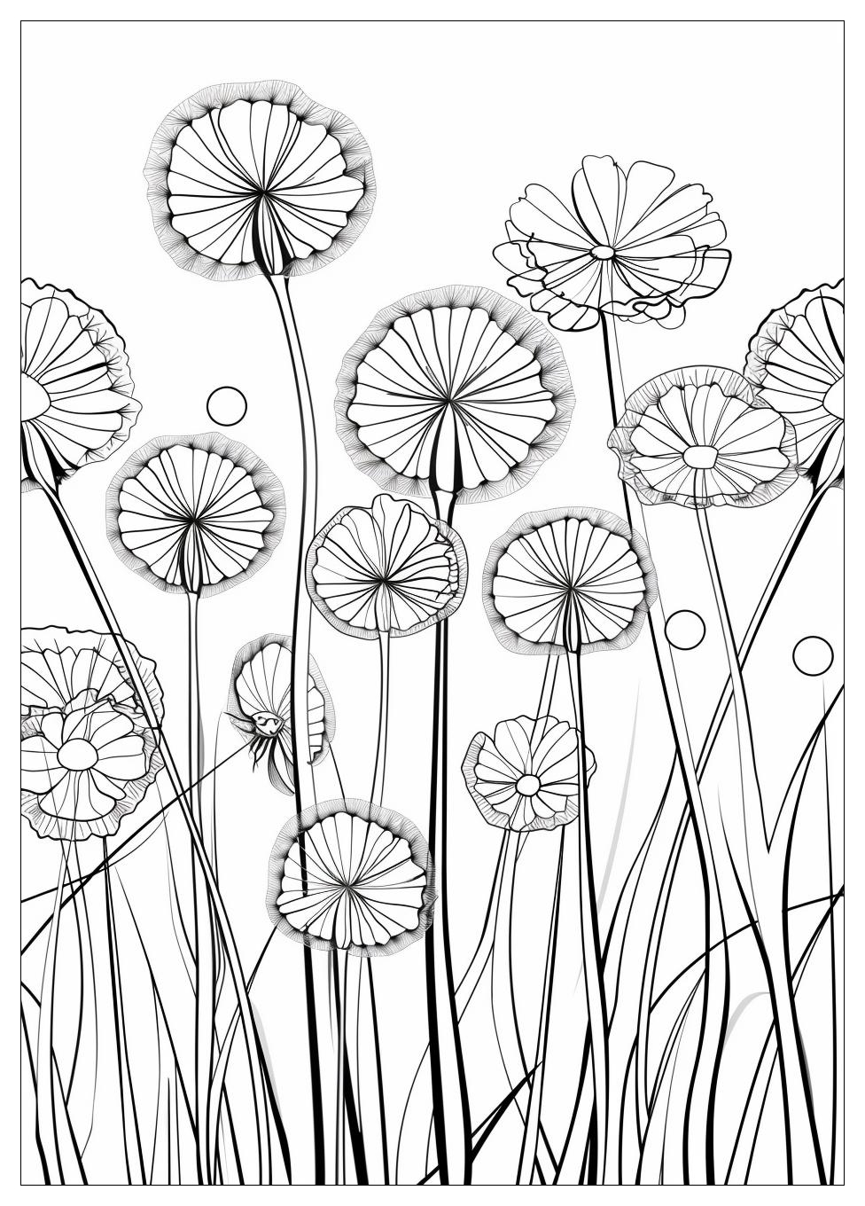 Dandelion Coloring Pages-16