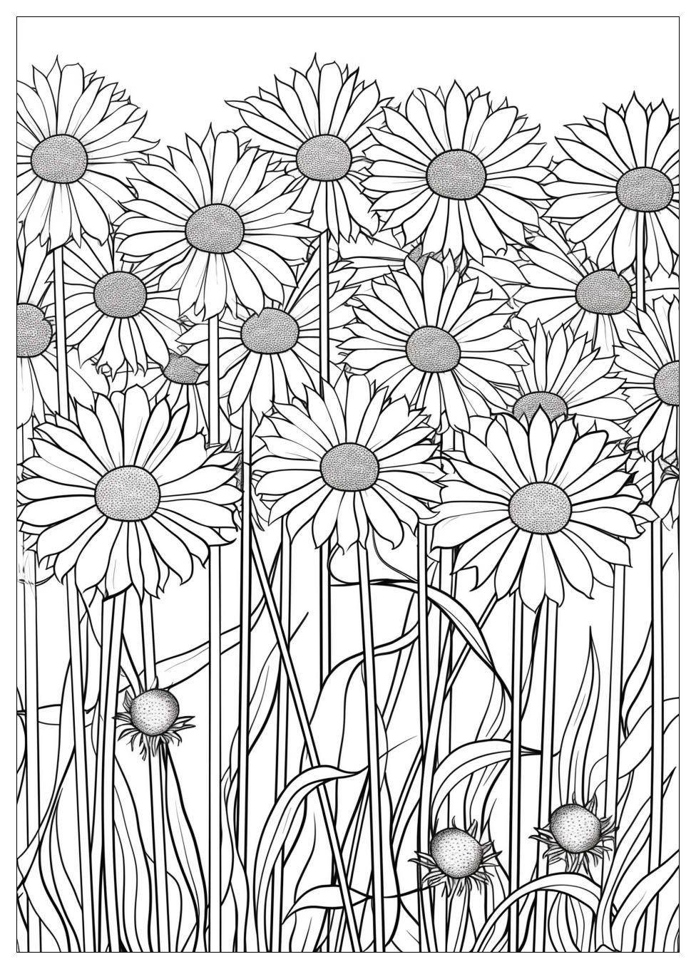 Dandelion Coloring Pages-17