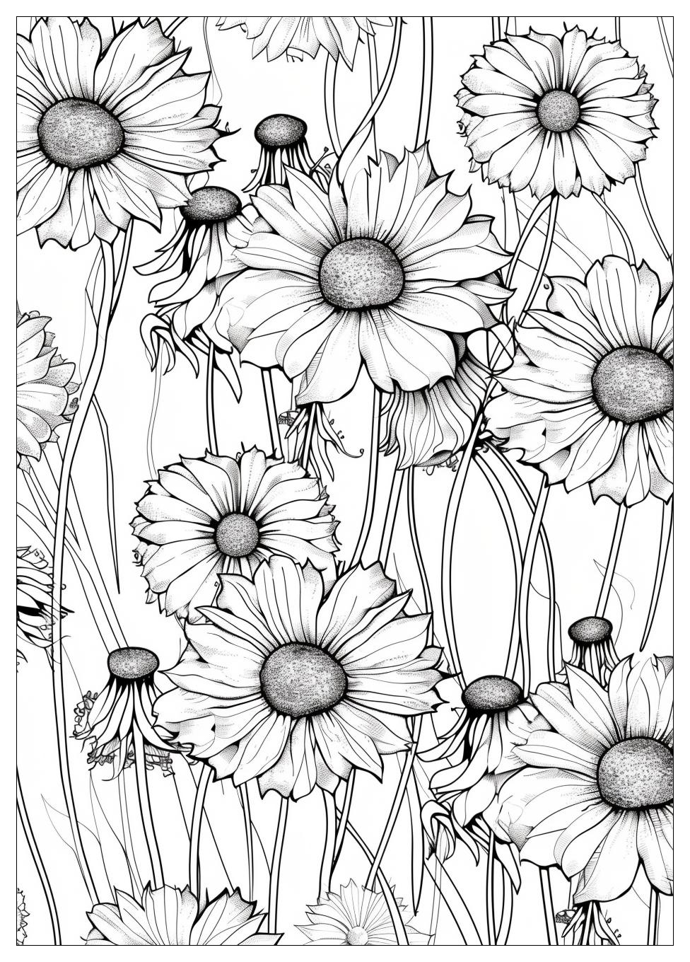 Dandelion Coloring Pages-19