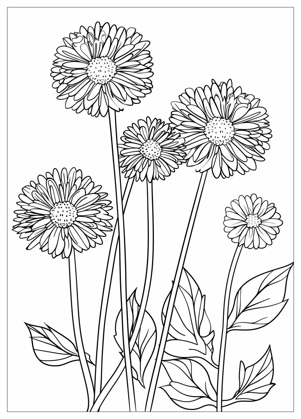 Dandelion Coloring Pages-2