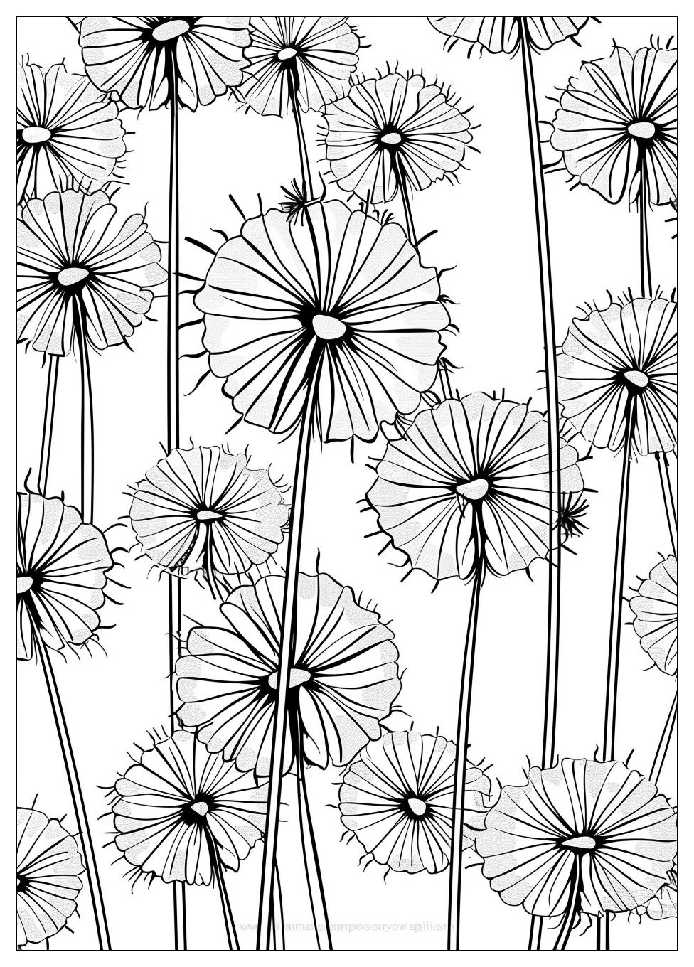 Dandelion Coloring Pages-3