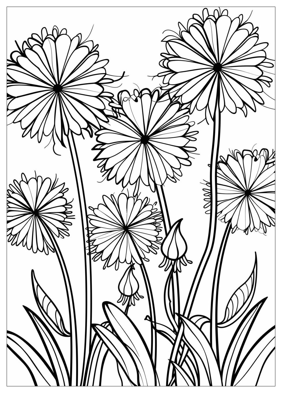 Dandelion Coloring Pages-5