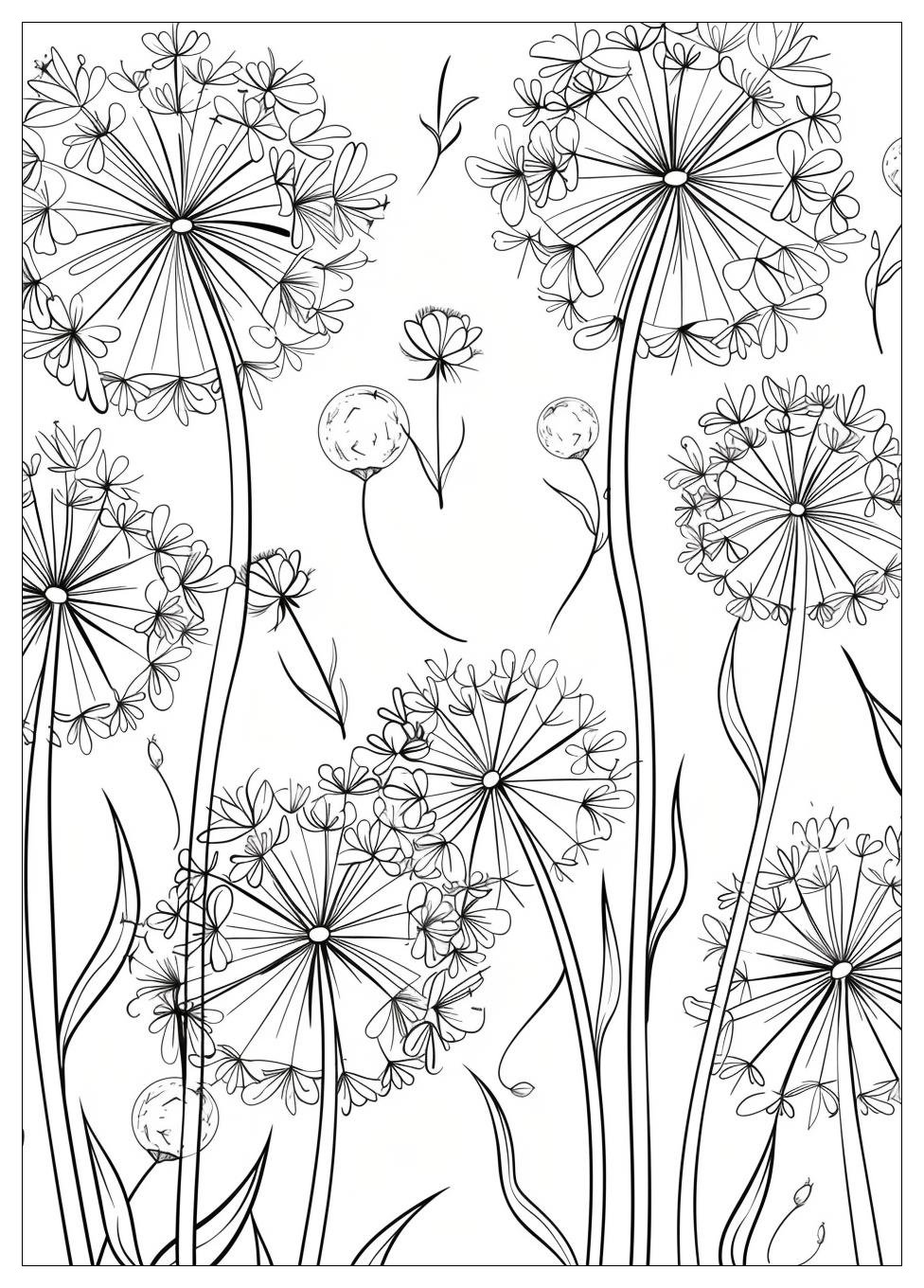 Dandelion Coloring Pages-7