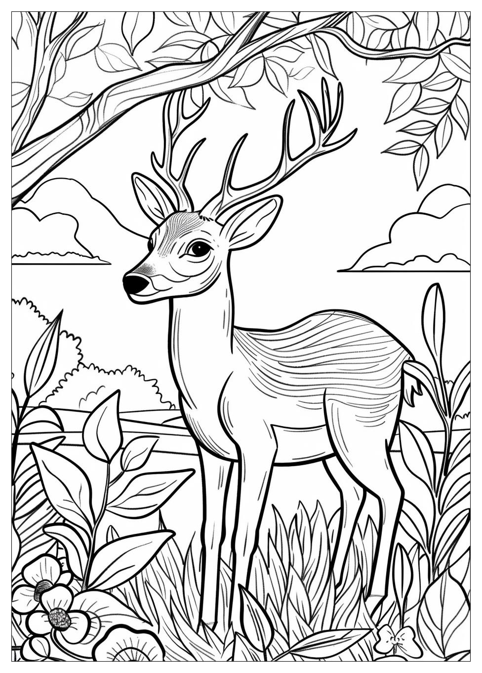 Deer Coloring Pages-1