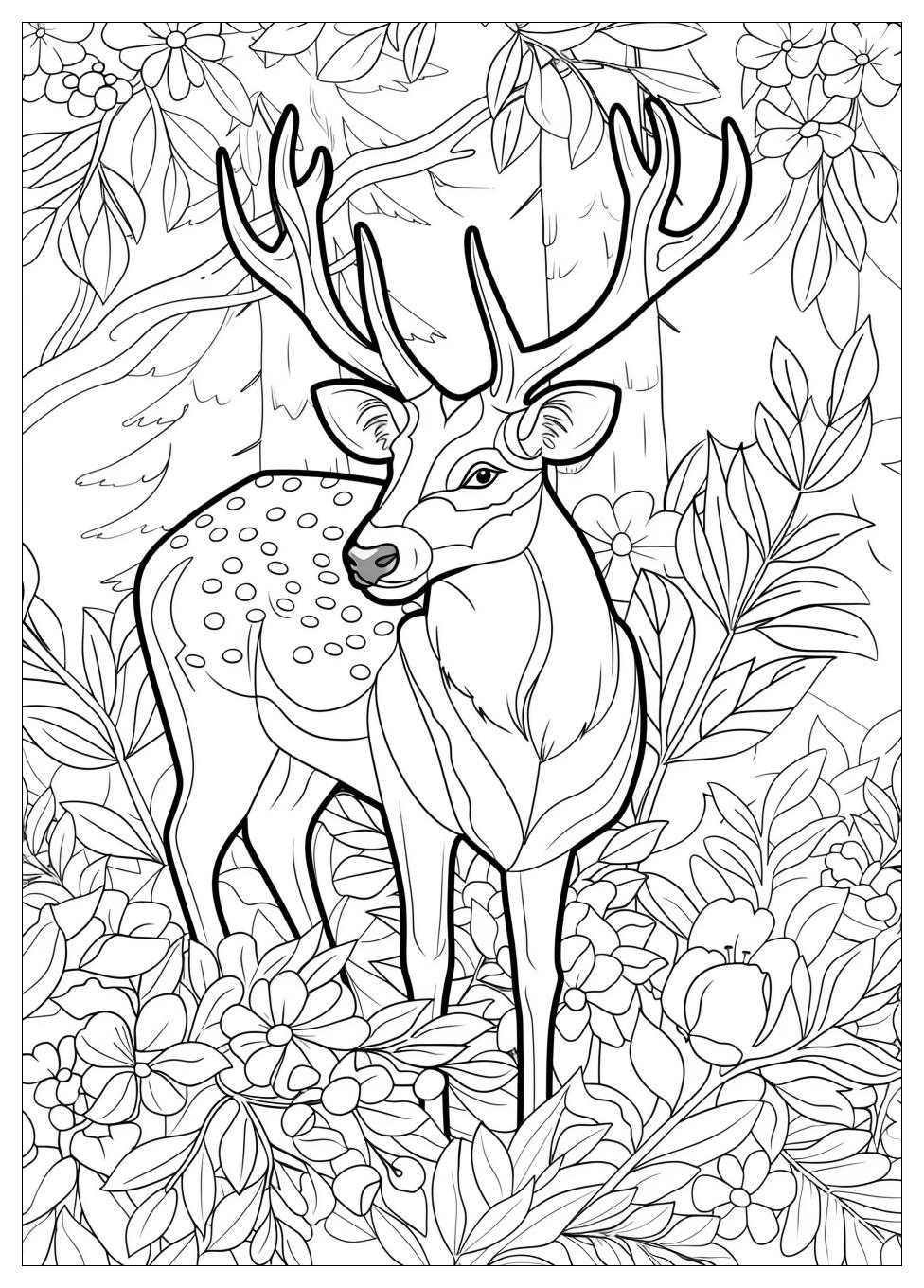 Deer Coloring Pages-13