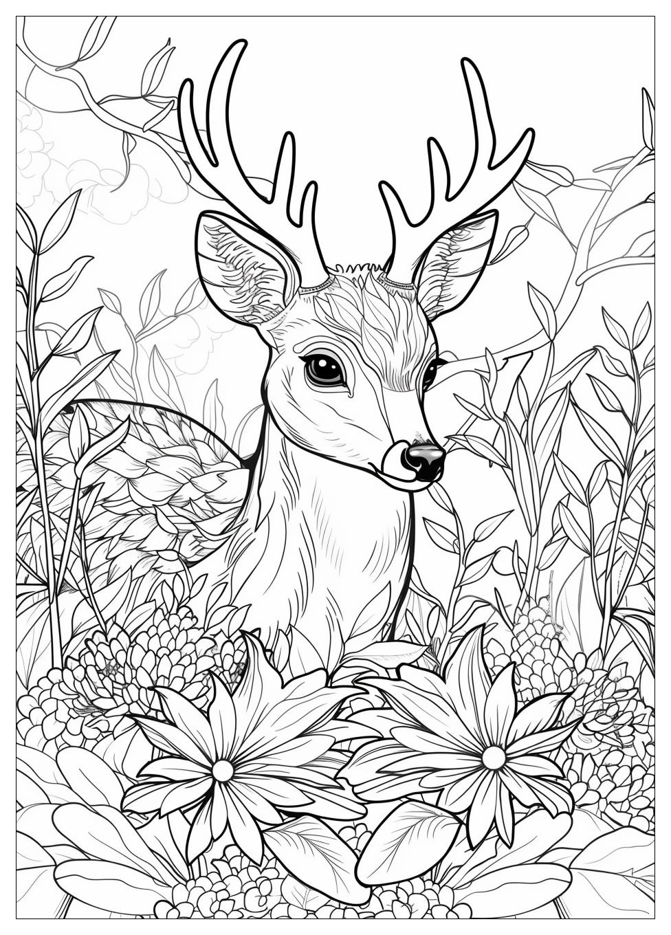 Deer Coloring Pages-17