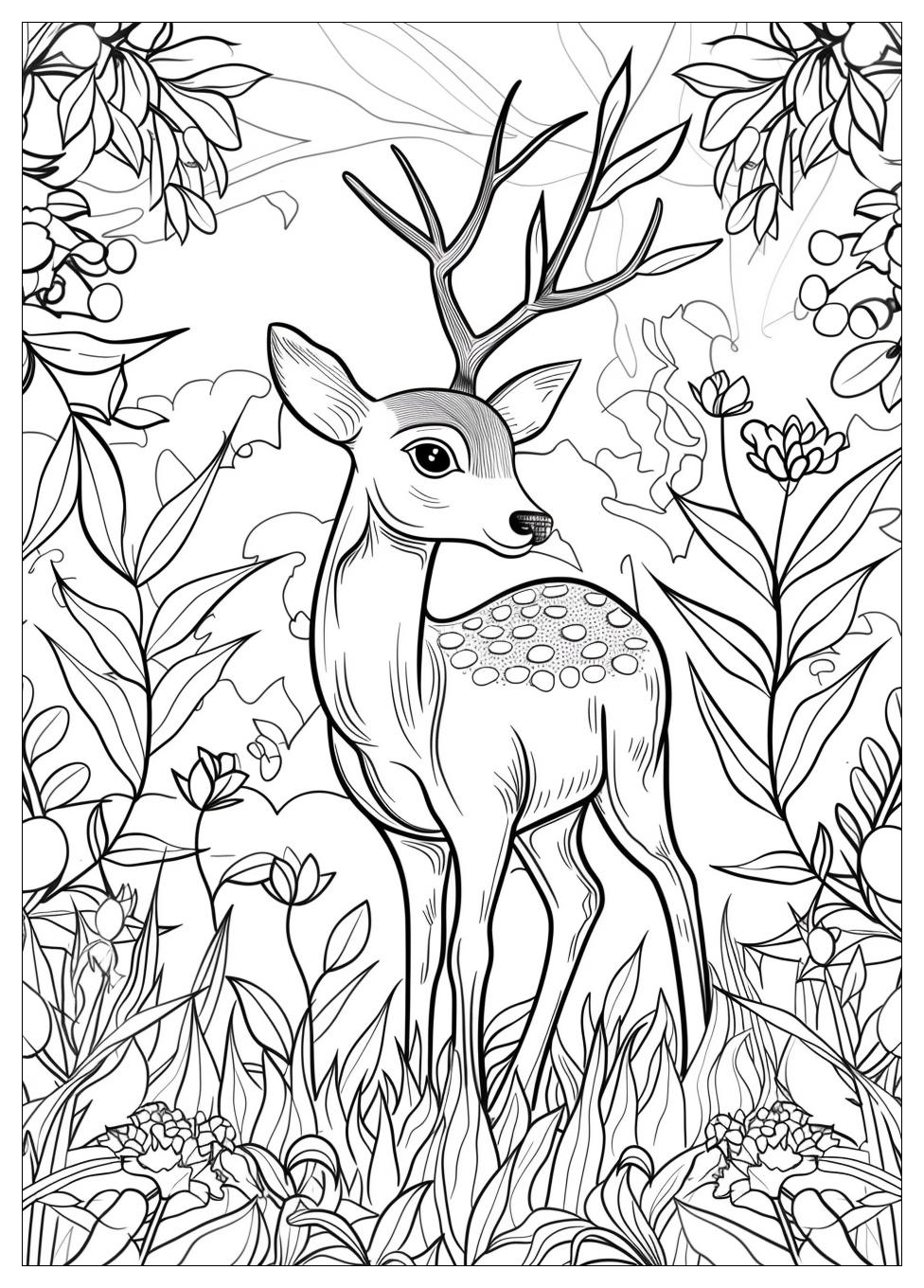 Deer Coloring Pages-19