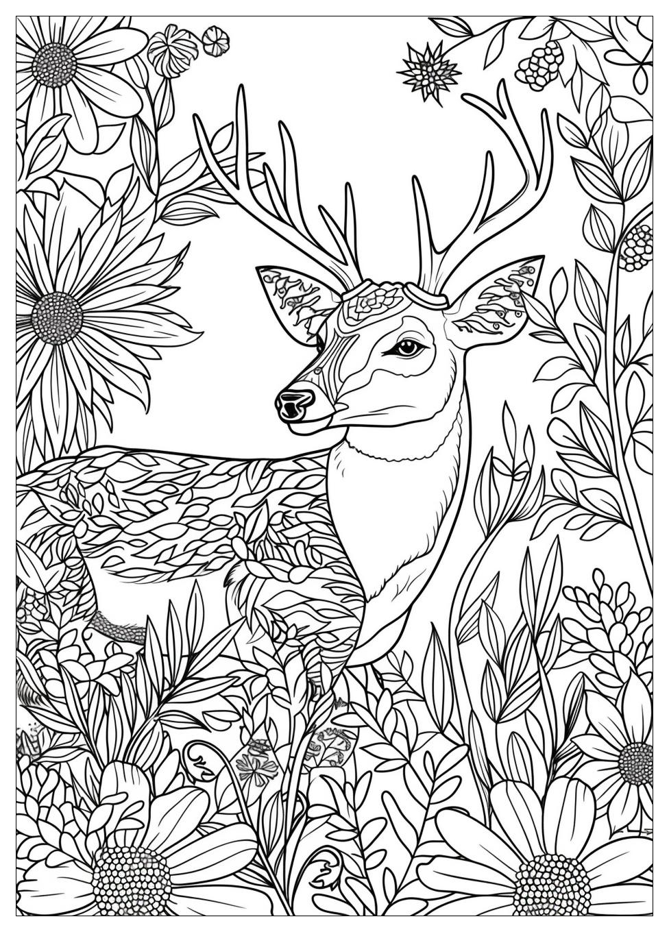 Deer Coloring Pages-20