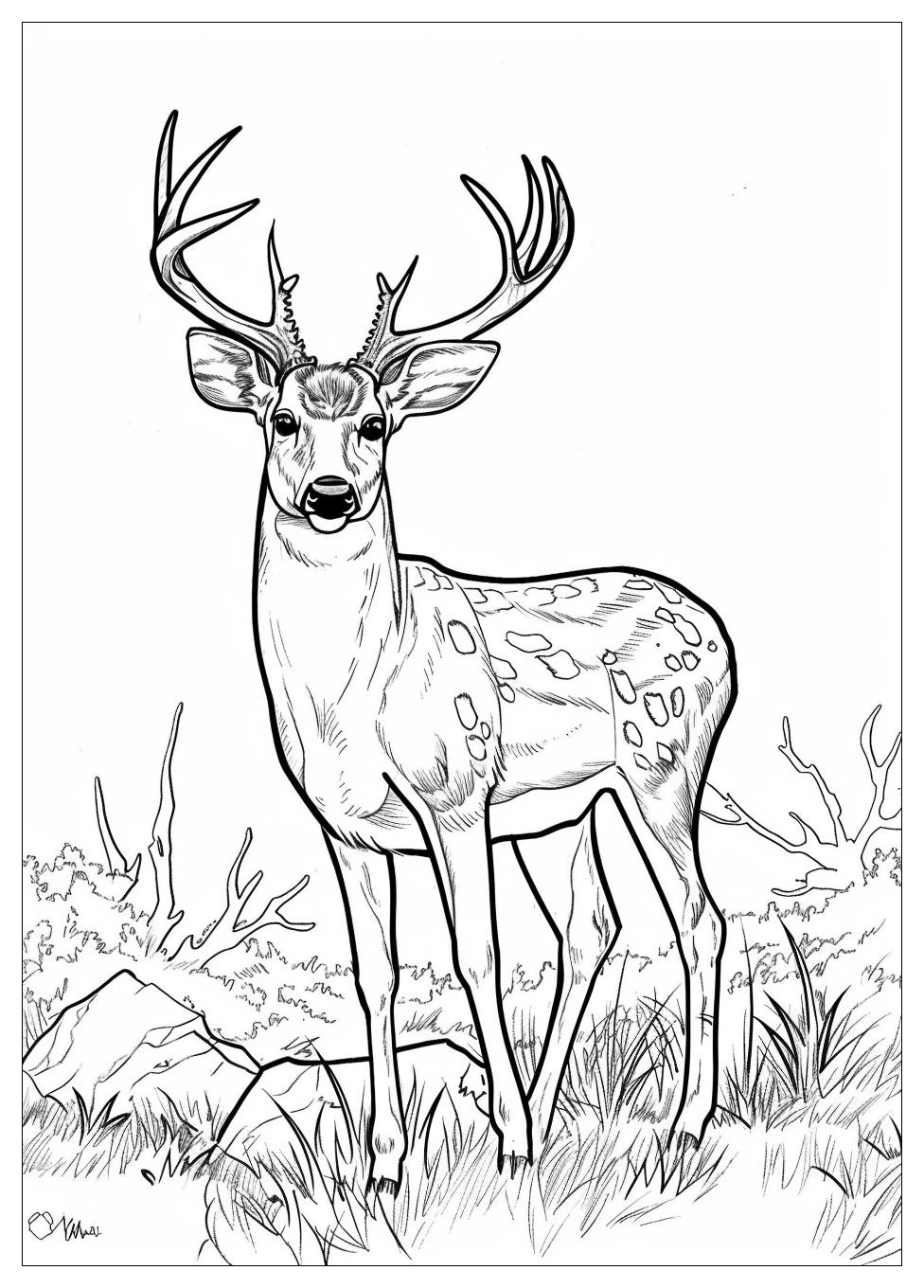 Deer Coloring Pages-6