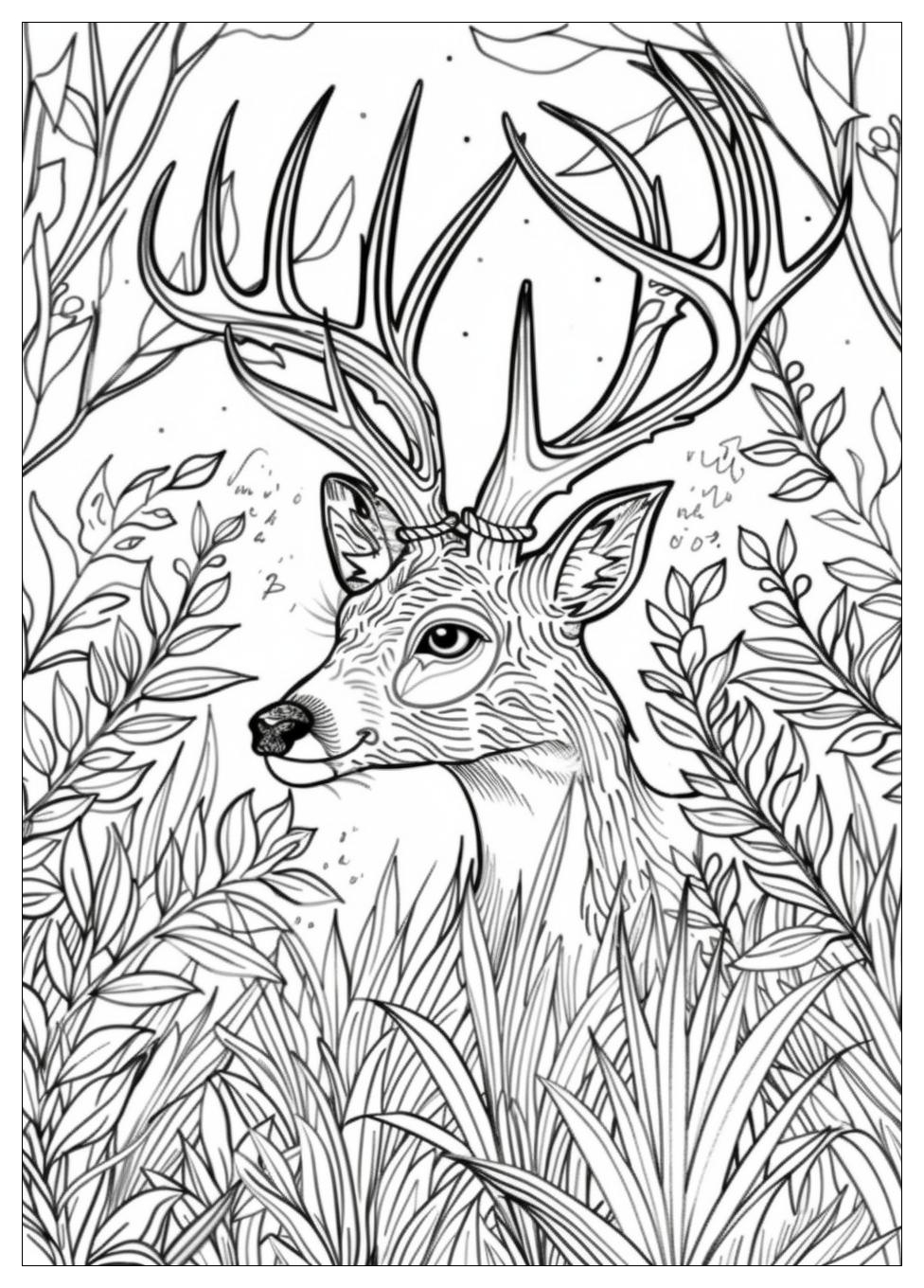 Deer Coloring Pages-8