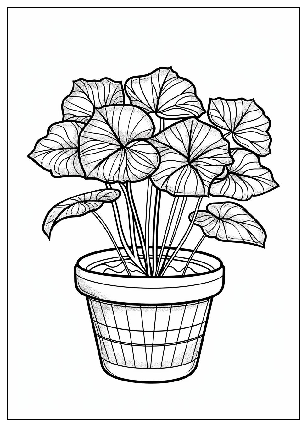 Flower Pot Coloring Pages-7