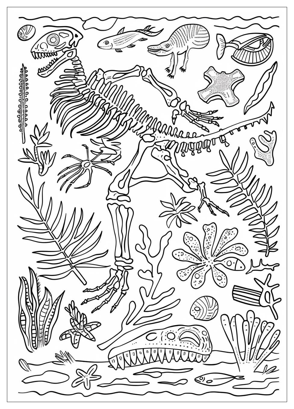 Fossil Coloring Pages-2