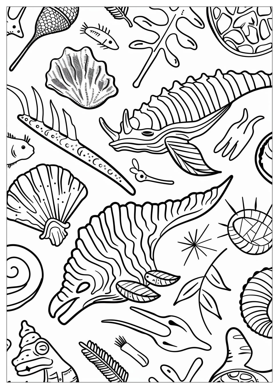 Fossil Coloring Pages-3