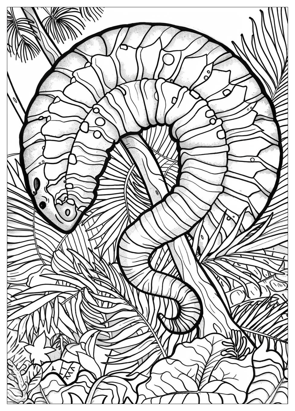 Fossil Coloring Pages-5