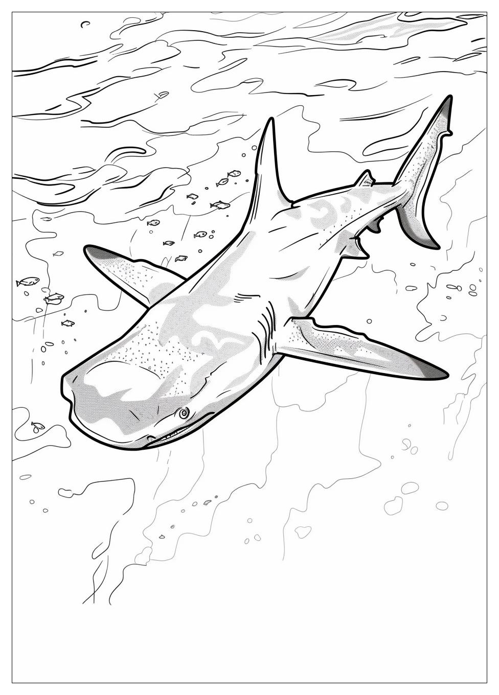 Hammerhead Shark Coloring Pages-3