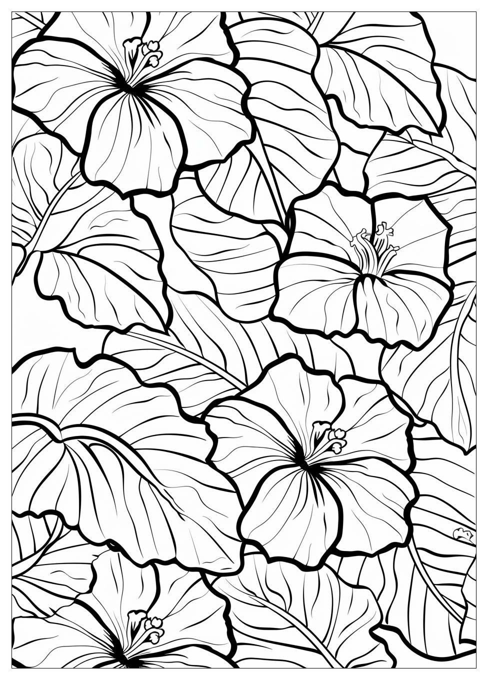 Hawaii Coloring Pages-12