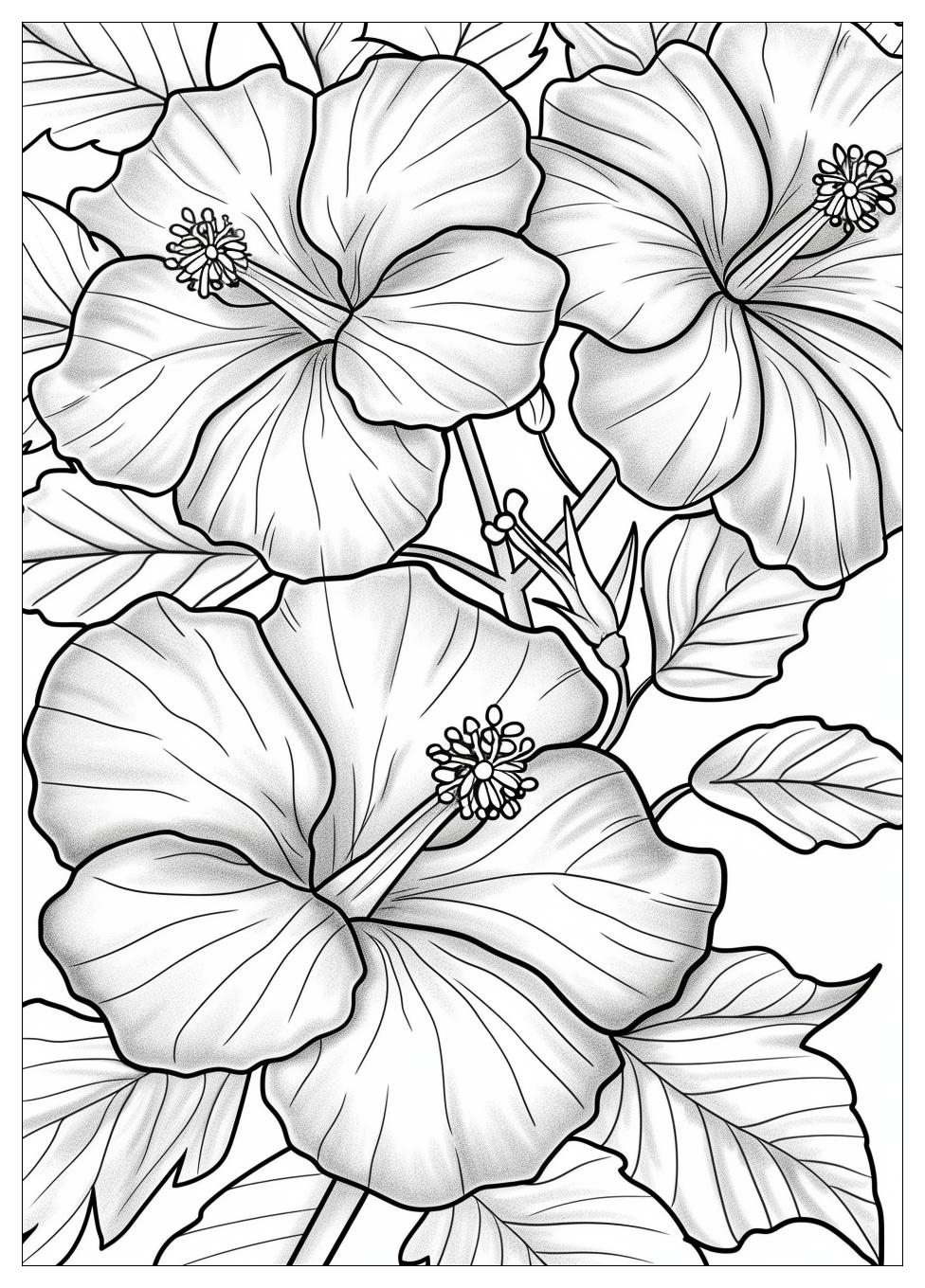 Hibiscus Coloring Pages-13