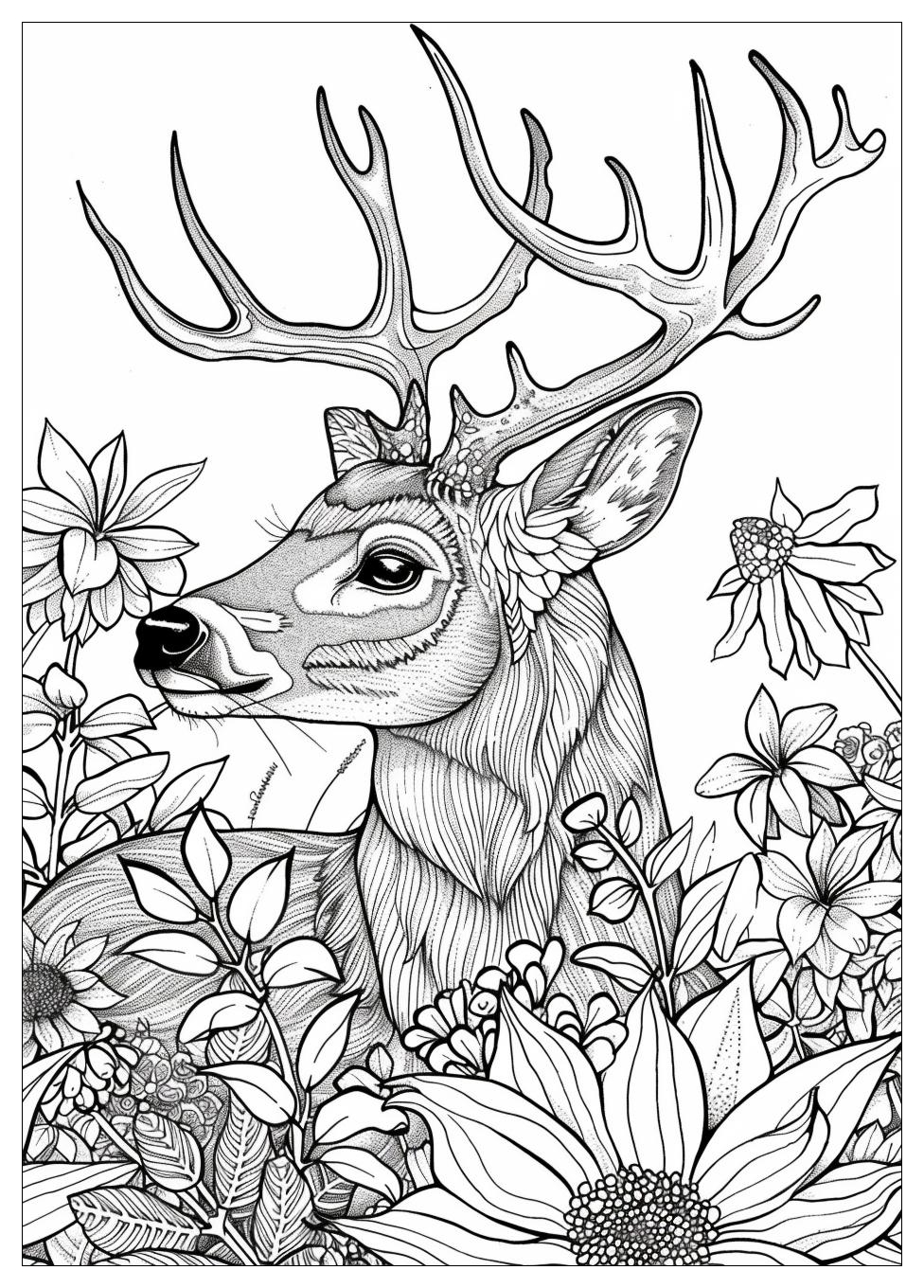 Hunting Coloring Pages-16