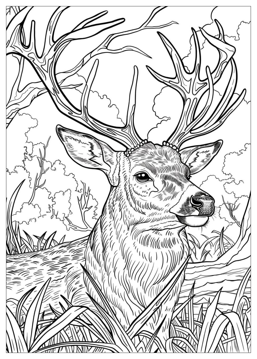 Hunting Coloring Pages-19