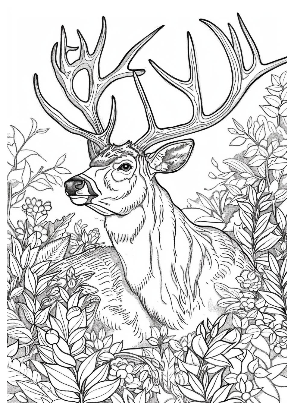 Hunting Coloring Pages-20