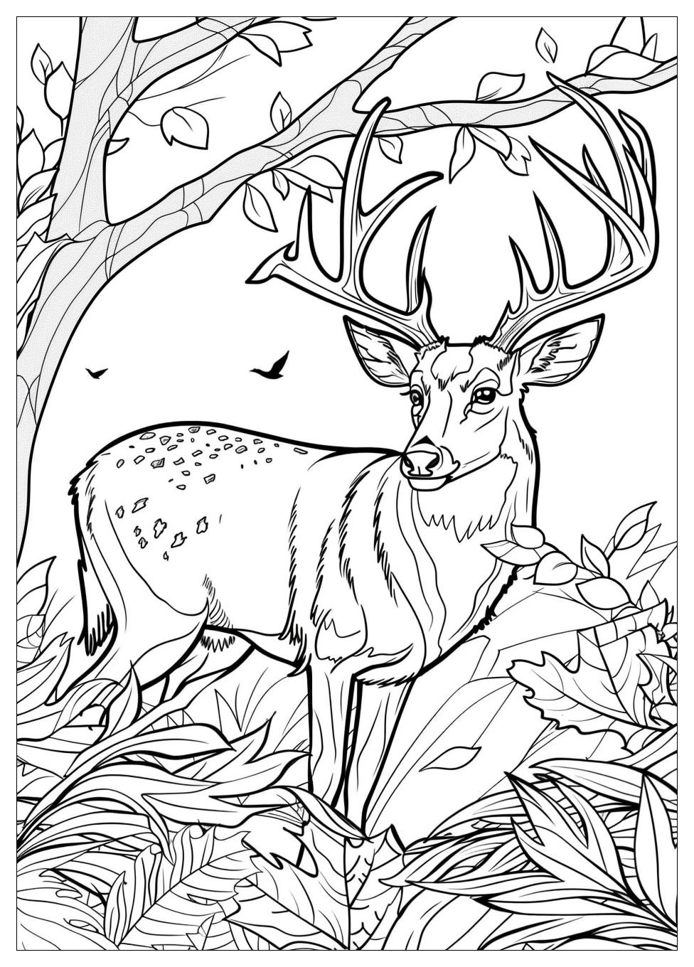 Hunting Coloring Pages-4