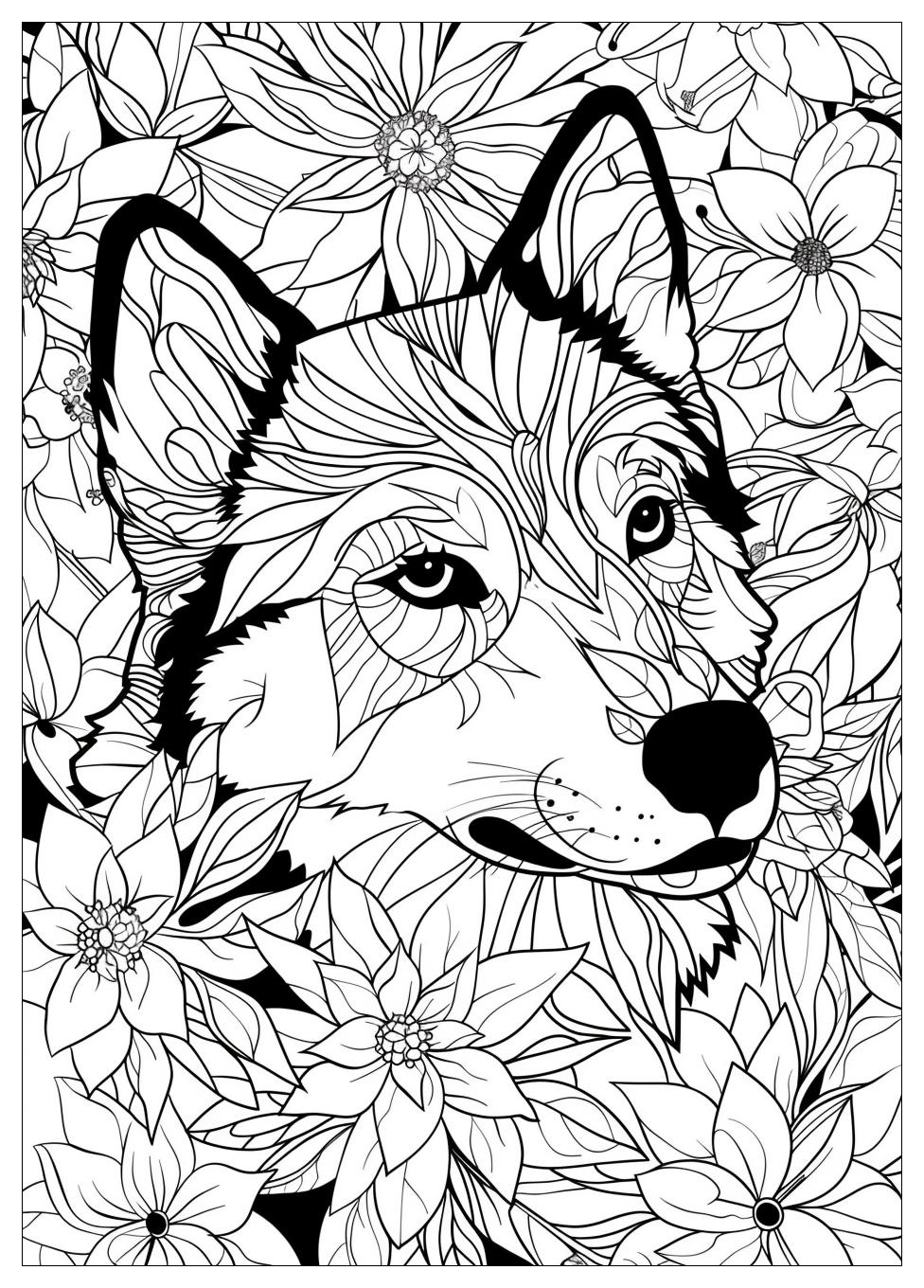 Husky Coloring Pages-13