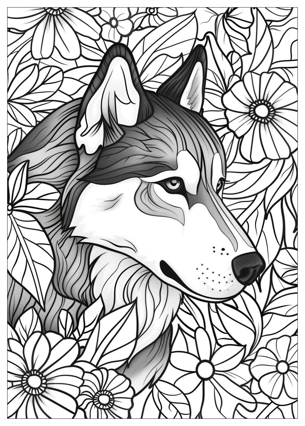 Husky Coloring Pages-17