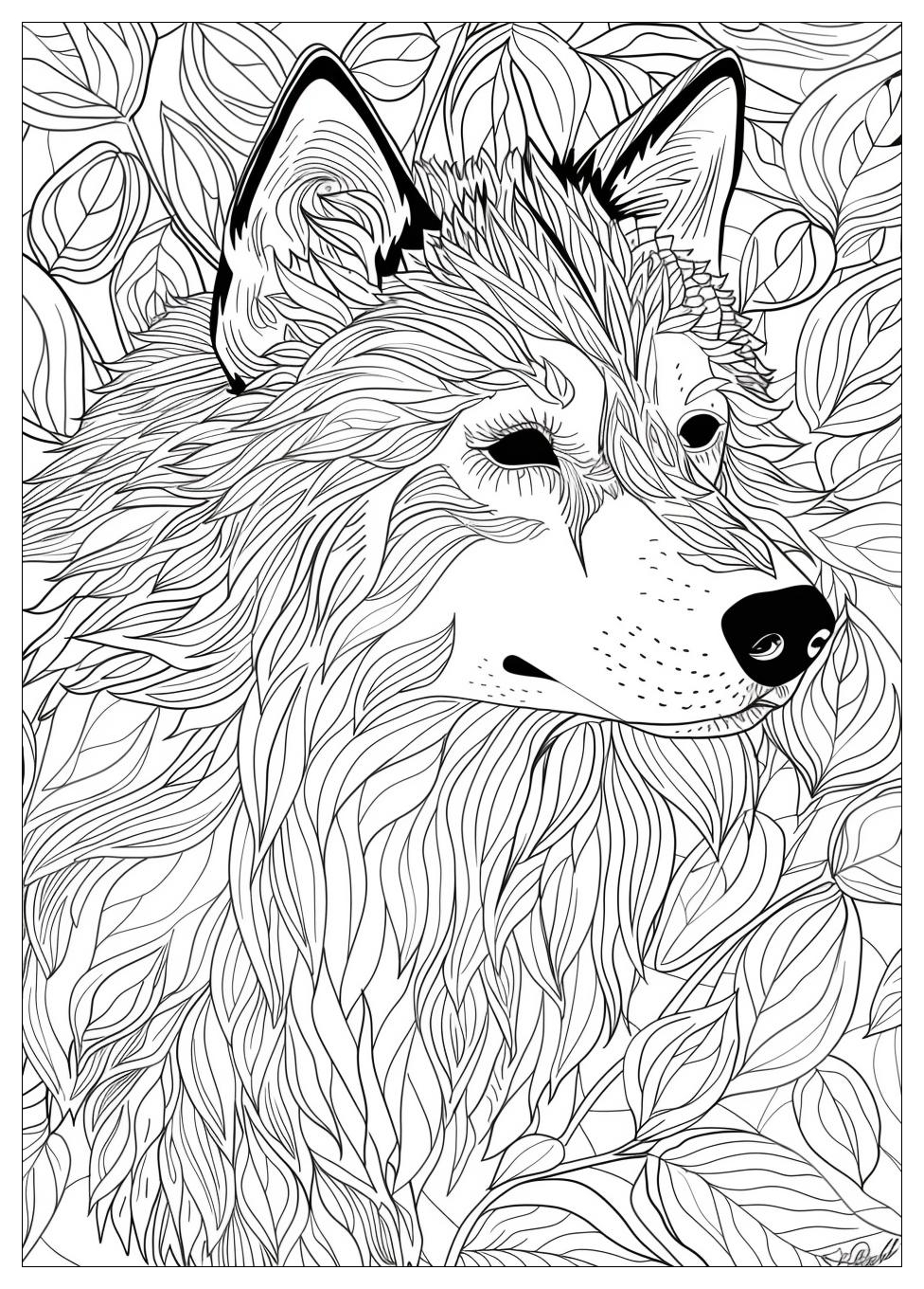 Husky Coloring Pages-18