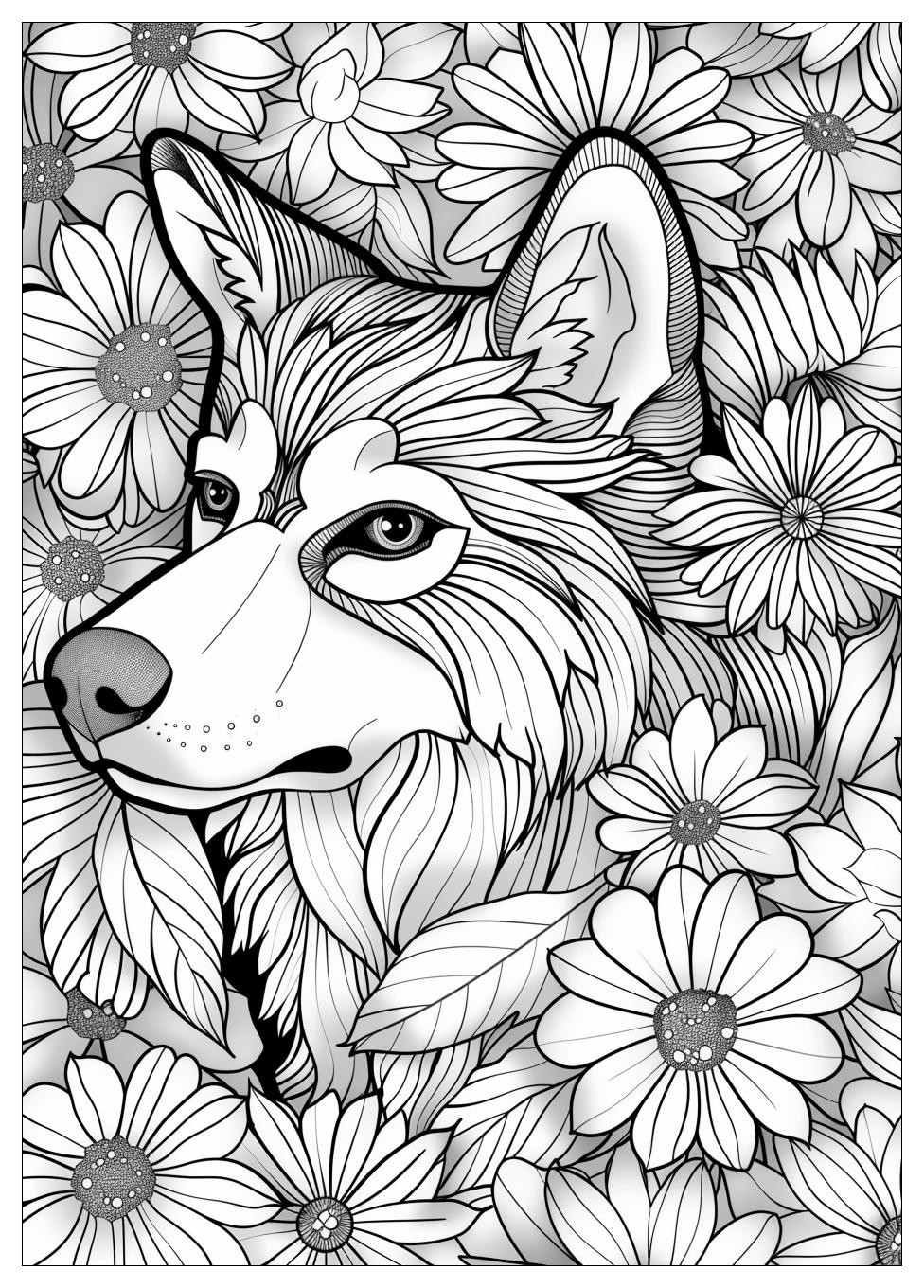 Husky Coloring Pages-19