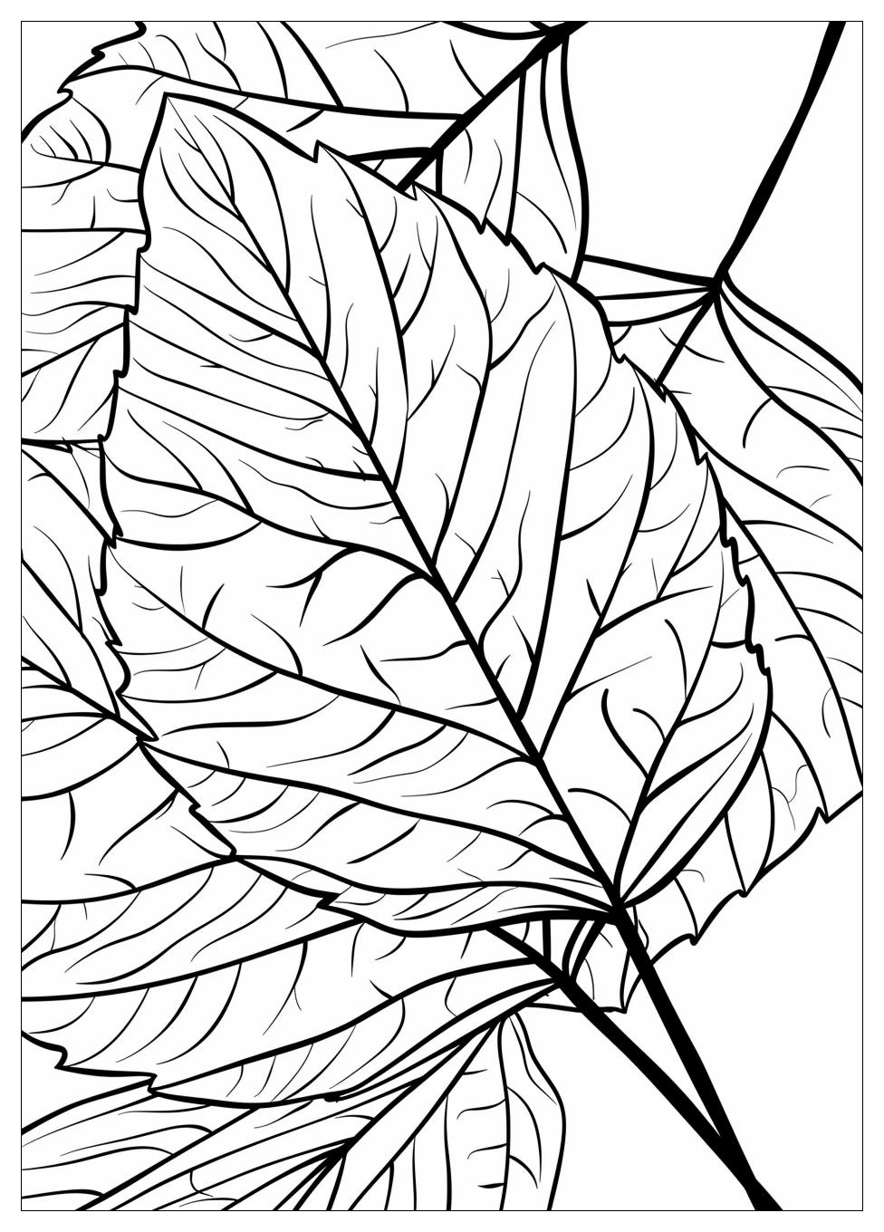 Leaf Coloring Pages-9