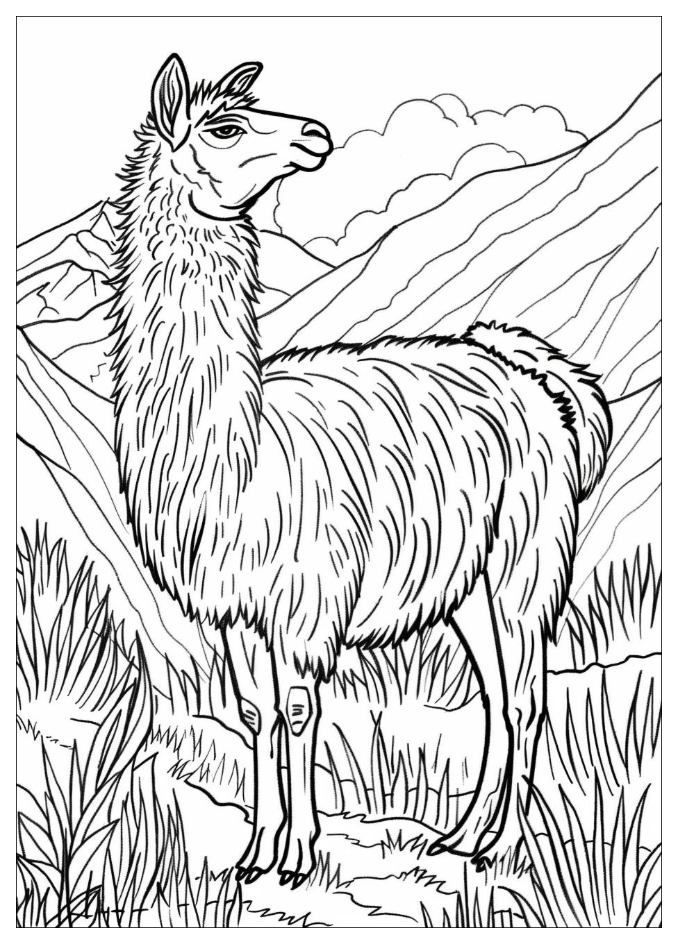 Llama Coloring Pages-10