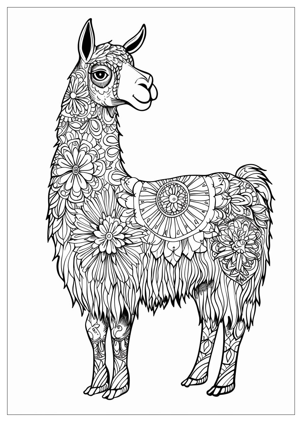 Llama Coloring Pages-19