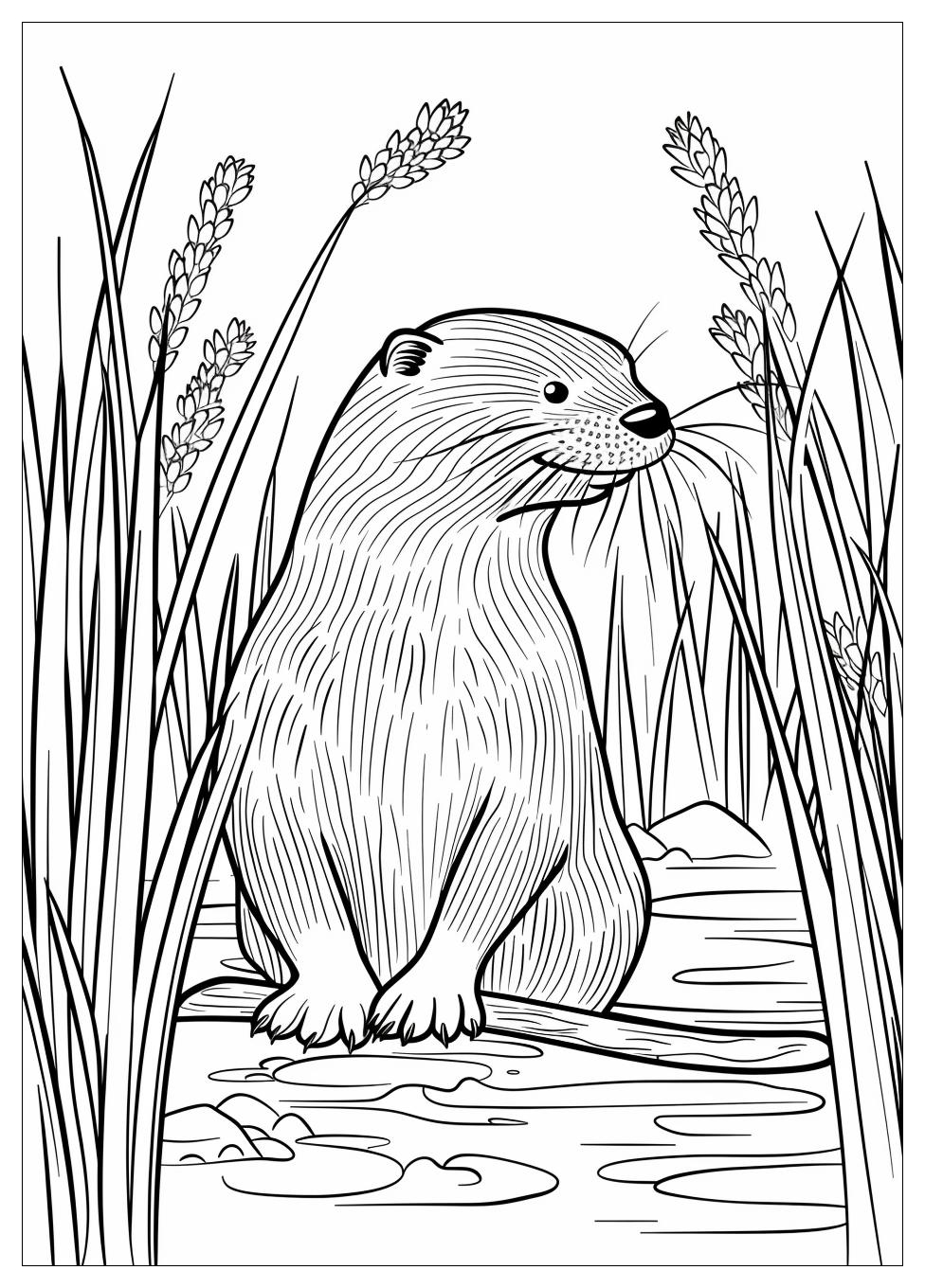 Otter Coloring Pages-10