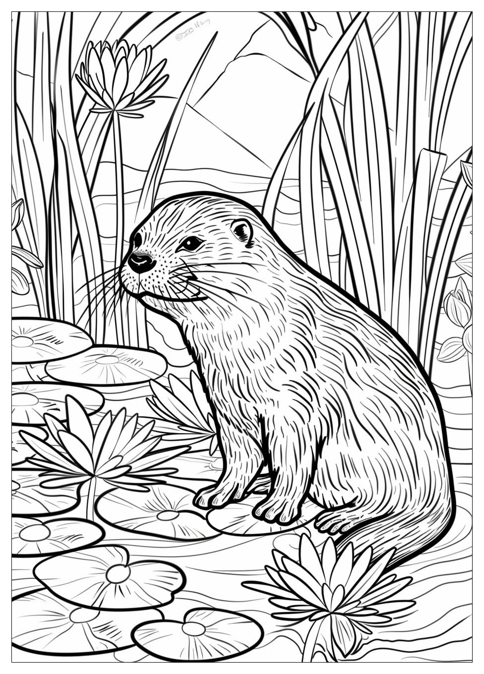 Otter Coloring Pages-11