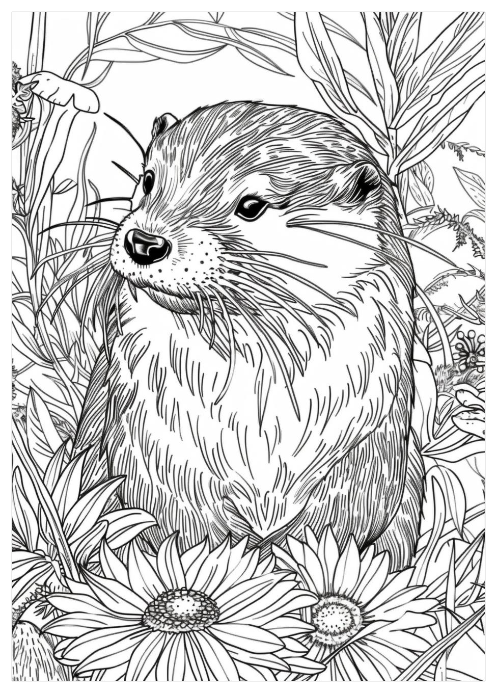 Otter Coloring Pages-19