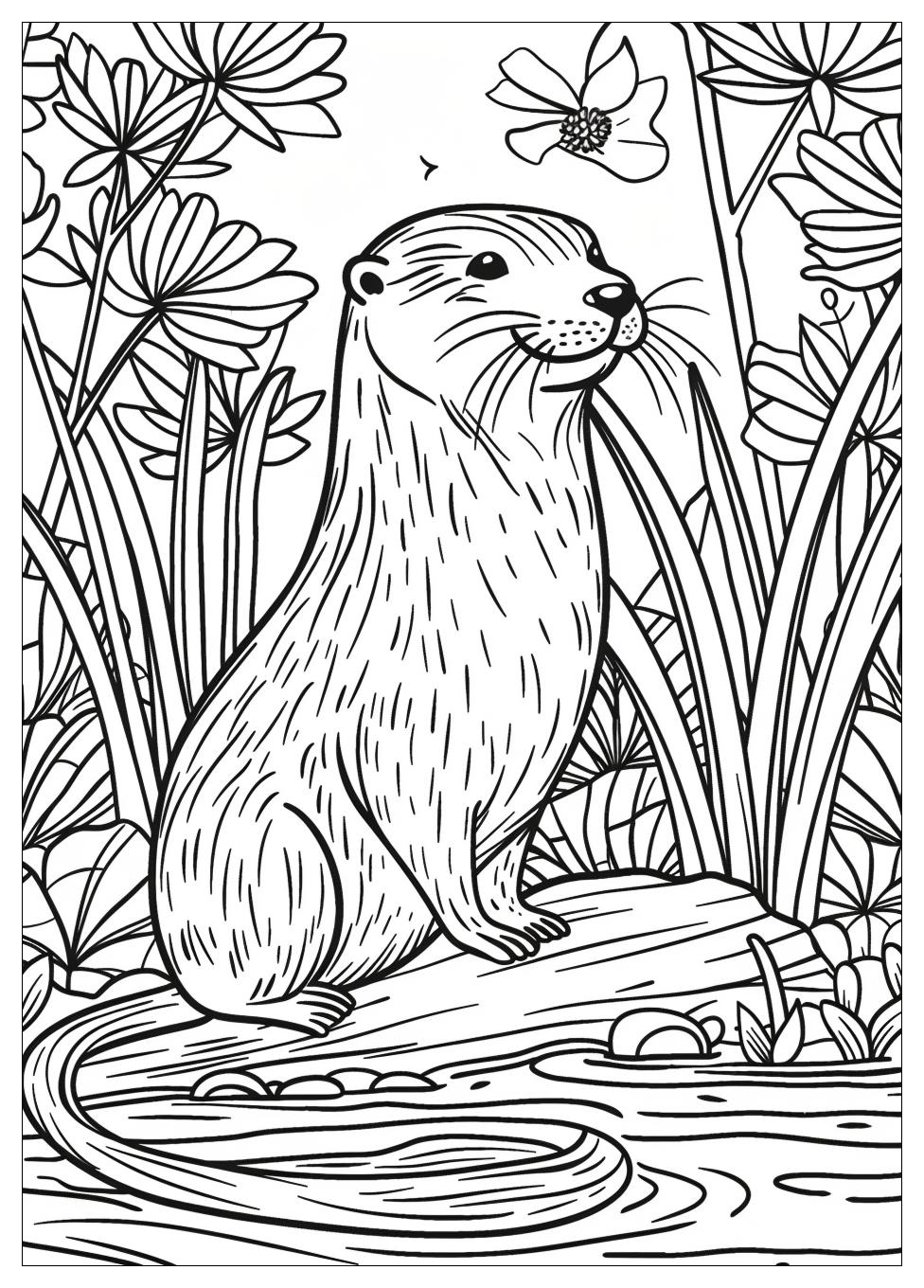 Otter Coloring Pages-6